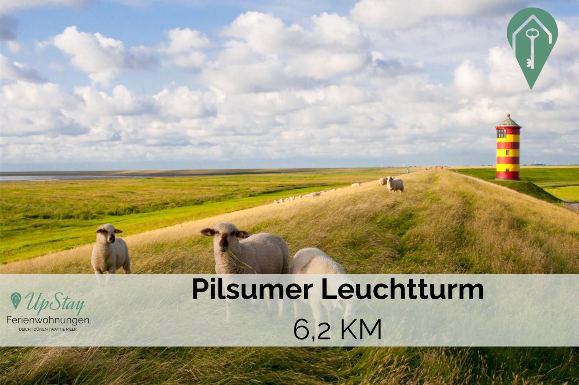 Manslagter Diekkieker Krummhörn Buitenkant foto